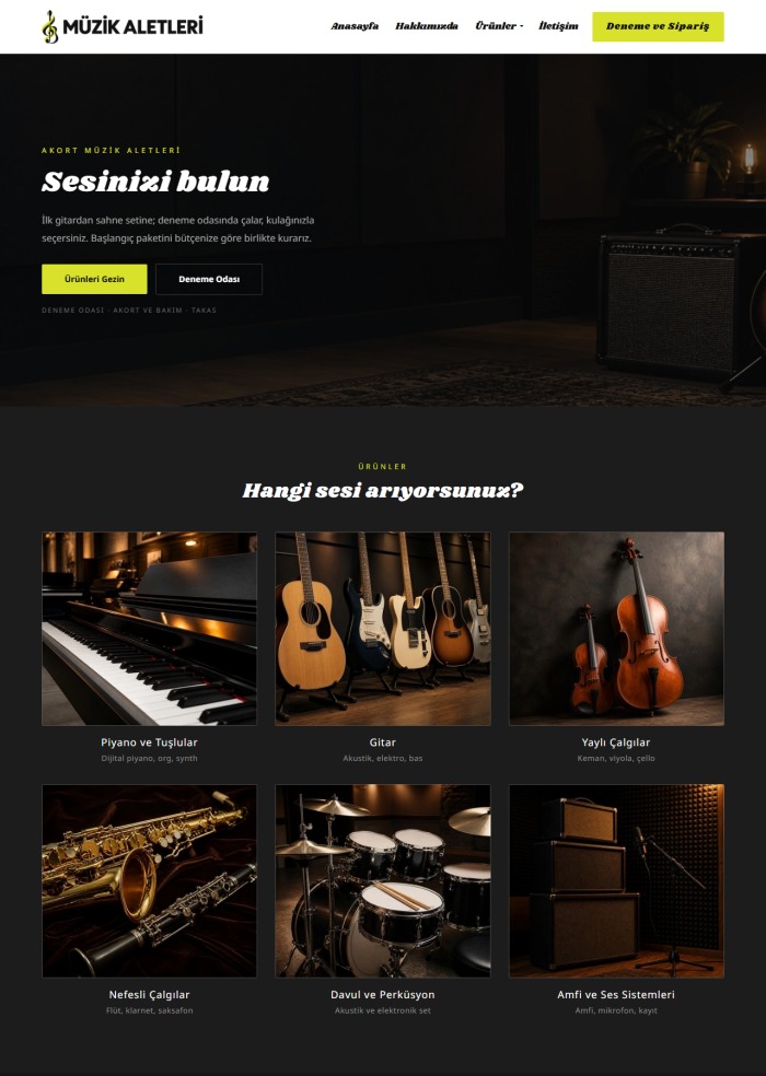 Müzik Aletleri – Eğitim sitesi teması
