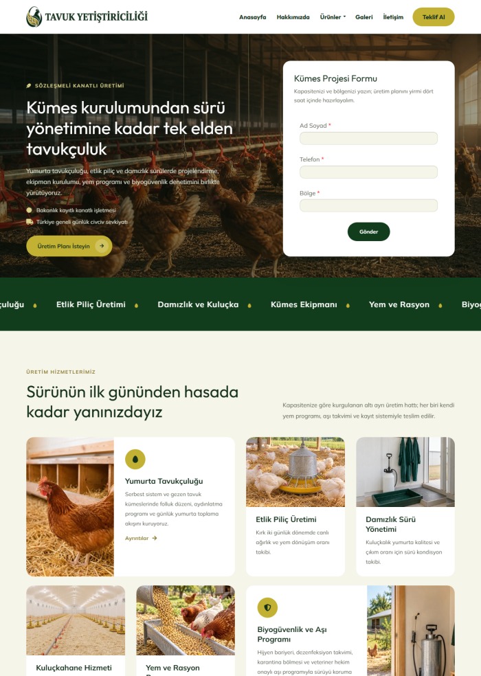 Tavuk Yetiştiriciliği – Gıda sitesi teması